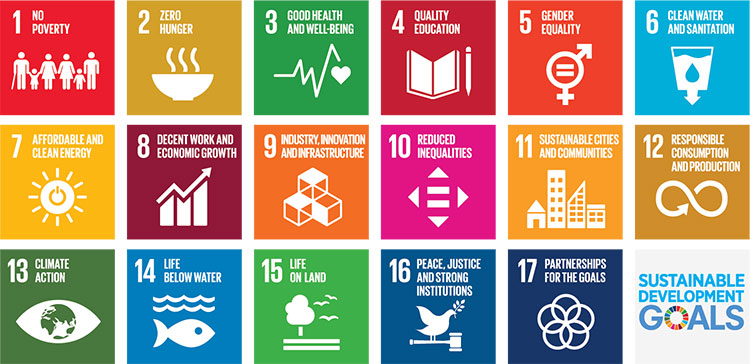 Audio description: Graphic information on the UN SDGs